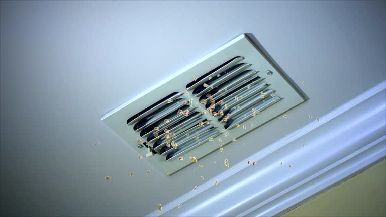 Best Affordable Air Duct Cleaning  in Georgetown, TX