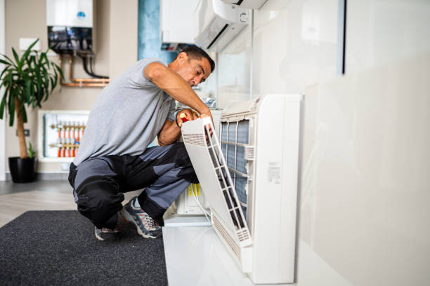 Best Air Duct Sanitizing Services  in Georgetown, TX